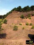 Steinbruch Emmelberg bei Üdersdorf nahe Daun, Vulkaneifel, Rheinland-Pfalz, (D) (4) 01. Juni 2014.JPG